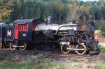 MRSR 3-Truck Heisler #91 - Mt Ranier Scenic RR